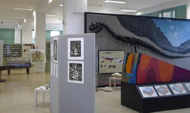 Balene preistoriche, marmi antichi, piante rare: sono i musei del Campus